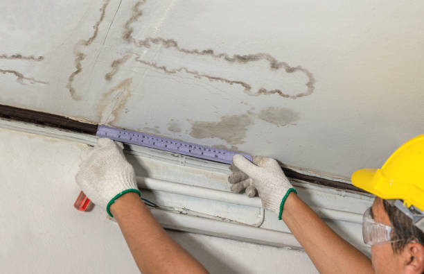 Reliable Structural Drying contractor in Bitely, MI by Water Damage Irwin